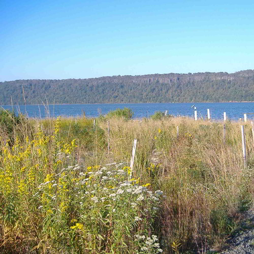 Bekzack grass land. A picture of a wetland meadow, with the Hudson in the distance, and the Palisades behind it.